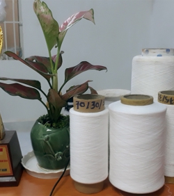 SPANDEX COVERING YARN – 70/70/3.2