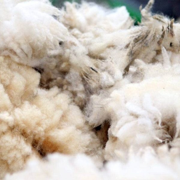 eco-friendly-farewell-new-zealand-wool-caskets-and-urns-gain-popularity-683209d662771.jpg